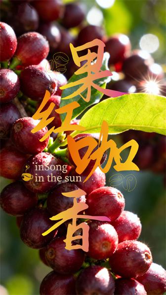 当小雪节气遇见果红咖香